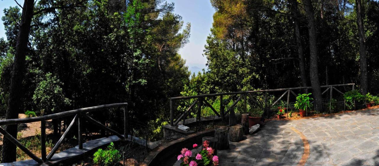 B&B Al Cavalluccio Marino Monte Marcello Exterior foto